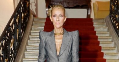 Celine Dion Brings Back Her Phoenix Heels to Embrace the Holiday Spirit