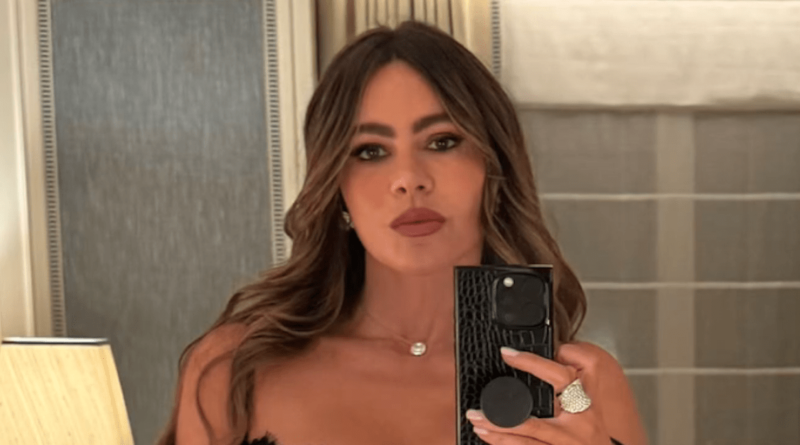 Sofia Vergara Stuns in Sheer Lingerie for a Glamorous Night Out