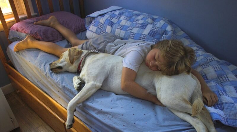 Tips for Parents on Helping Kids Adjust to Daylight Saving Time