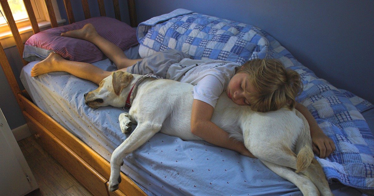 Help Children Adjust to Daylight Saving Time Without Overhauling Their Routine