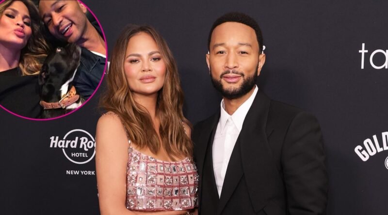 Chrissy Teigen and John Legend Mourn the Loss of Their Three-Legged Dog, Penny