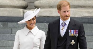 Quotes from Prince Harry and Meghan Markle About Their Rescue Dogs