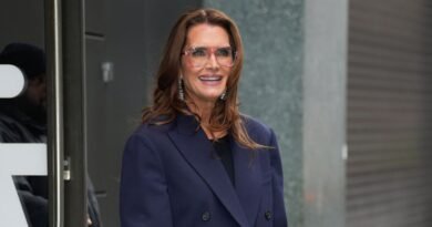 Get Brooke Shields' Chic Navy Blazer Style for Only $44!