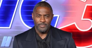 Idris Elba Spent 'A Night' in Jail to Prepare for His Role as Nelson Mandela