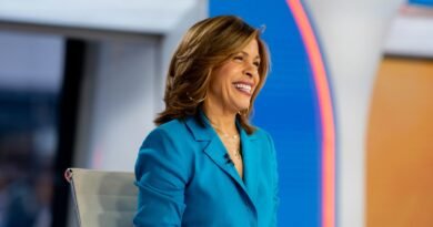 Hoda Kotb's Most Memorable Moments and Milestones on the TODAY Show