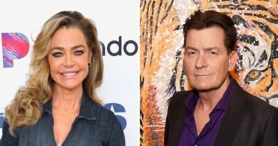 Denise Richards Hints at Charlie Sheen Reunion in Family Reality Show