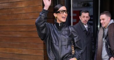 Get Bella Hadid's Trendy Leather Bomber Style for Only $46!