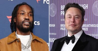 Meek Mill Playfully Quips That Elon Musk Can't Outdo Him in Baby Mothers