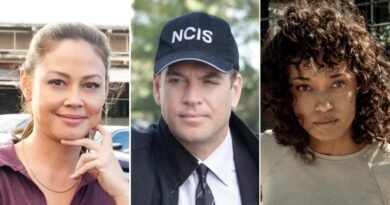 NCIS Universe: A Look at the Actors' Dating Histories and Spin-Offs