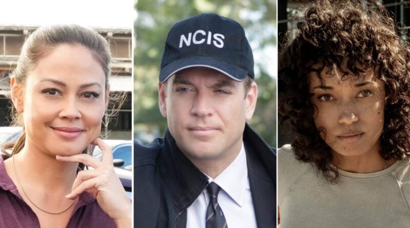 NCIS Universe: A Look at the Actors' Dating Histories and Spin-Offs