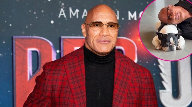 Dwayne Johnson Mourns the Loss of His Cherished Dog Hobbs