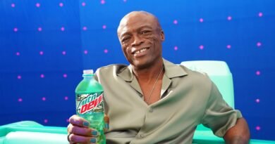 Seal Claims Becoming a Seal for Super Bowl Ad Wasn't Challenging