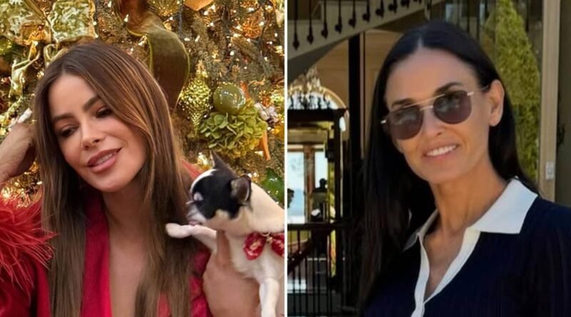 Demi Moore's Pilaf and More: The Most Spoiled Pooches in Hollywood