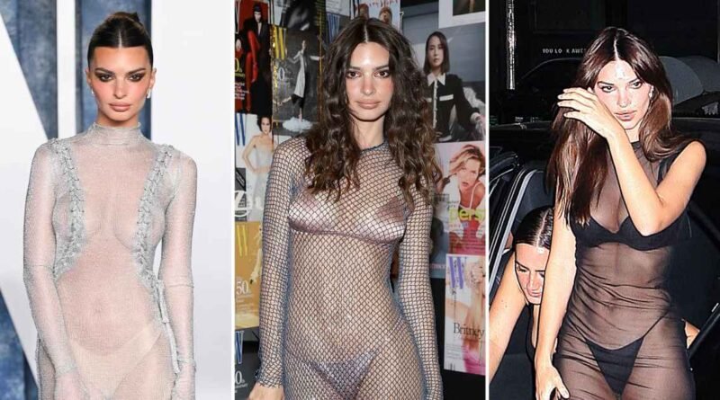 Emily Ratajkowski's Top Sheer Dress Looks