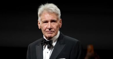 Harrison Ford Diagnosed with Shingles, Will Miss 2025 Oscars: Sources Say