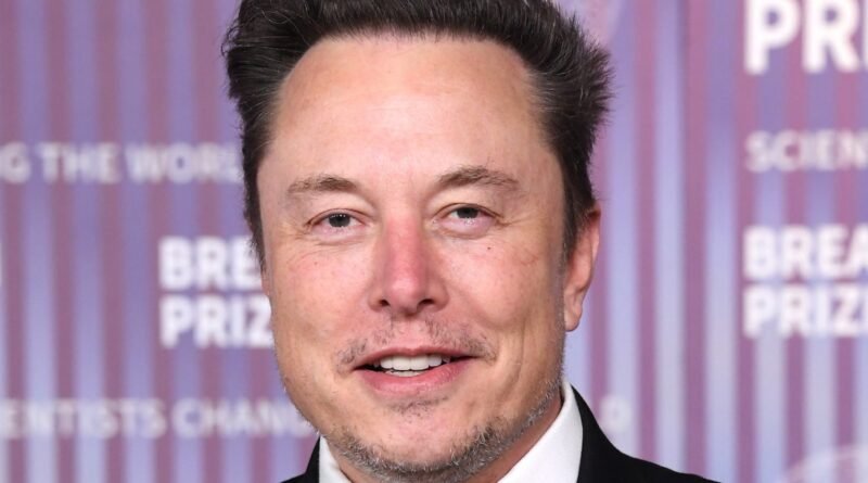 Elon Musk Celebrates the Arrival of His 14th Child, His Fourth with Shivon Zilis