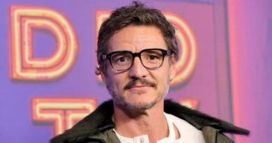 Pedro Pascal Slams Anti-Trans Trolls as 'Vile' in Instagram Comments