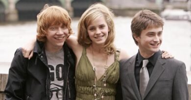 Harry Potter Cast: What They're Up to Now