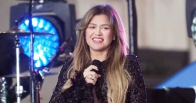 Kelly Clarkson Discusses Her Love Life and Family After Divorce