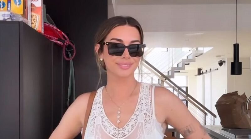 Brianna LaPaglia Showcases Bra in Sheer 'Country Bumpkin' Outfit