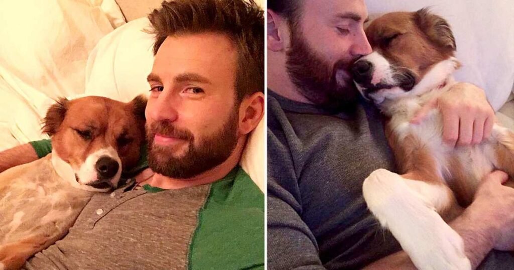 Chris Evans and Dodger: Celebrate Their Remarkable Bond!