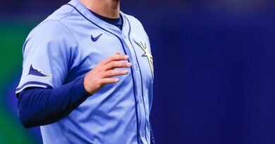Hunter Bigge of the Tampa Bay Rays Injured by 105 MPH Foul Ball