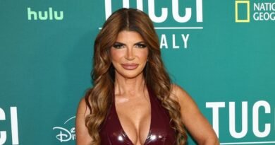 Teresa Giudice Abruptly Ends WGN Interview After Tax Inquiry