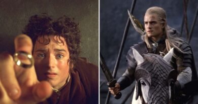Where Are They Now? The Cast of 'The Lord of the Rings'