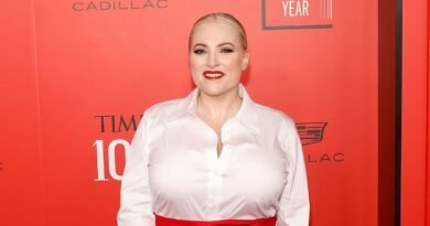 Meghan McCain and Ben Domenech Expecting Their Third Child!