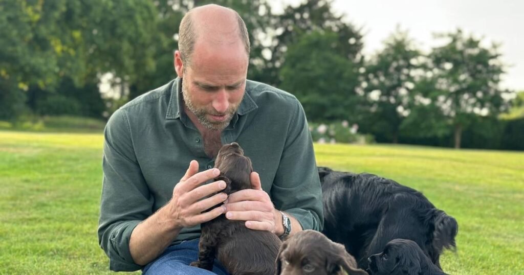 Prince William Marks His Birthday with a Cute Puppy Photo Captured by Kate