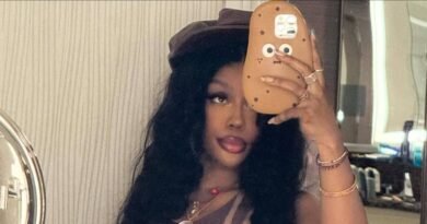 SZA Dazzles in Sheer Top Without a Bra, Fans Share Their Reactions to Her Daring Style