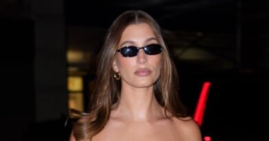 Hailey Bieber Proudly Displays Her Breast Milk Supply in Recent Post