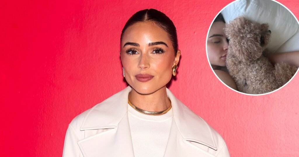 Olivia Culpo Flaunts Her Baby Bump in Stylish Bikini