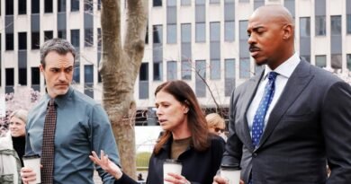 Law and Order Casting News: Who's Returning for Season 25?