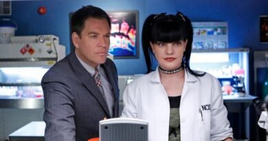 Exploring Pauley Perrette's Life Beyond Hollywood: What Is She Up to Now?