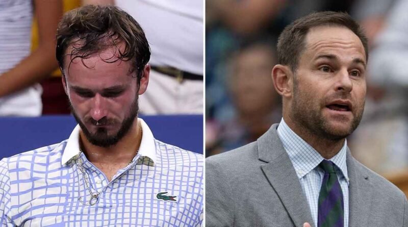 Andy Roddick Offers Unexpected Take on Daniil Medvedev's US Open Outburst