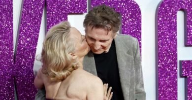 Pamela Anderson and Liam Neeson's Thoughts on Collaborating