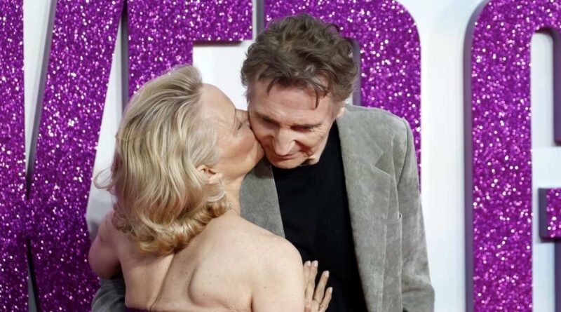 Pamela Anderson and Liam Neeson's Thoughts on Collaborating