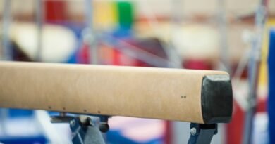 Gymnastics Coach Arrested for Child Pornography and Allegations of Sexual Abuse