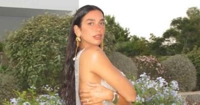 Dua Lipa Stuns in Bold Chainmail Dress Before Turning 30