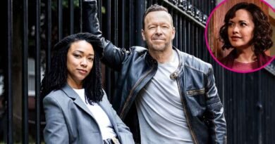 Danny Replaces Partners in Boston Blue Spinoff Trailer Following Baez's Departure from Blue Bloods