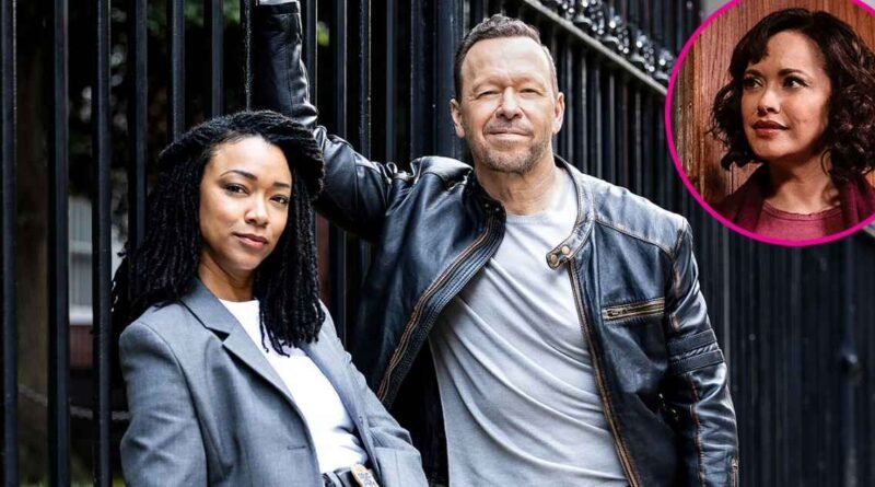 Danny Replaces Partners in Boston Blue Spinoff Trailer Following Baez's Departure from Blue Bloods