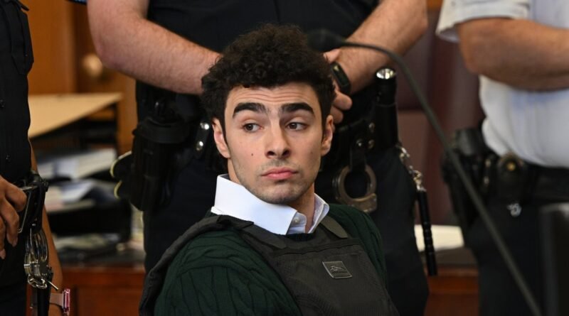 Shein Removes Luigi Mangione Model Advertisement After Shirt Almost Sells Out