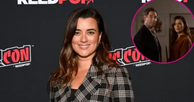 What Cote de Pablo Hopes to See in Season 2 of NCIS: Tony and Ziva