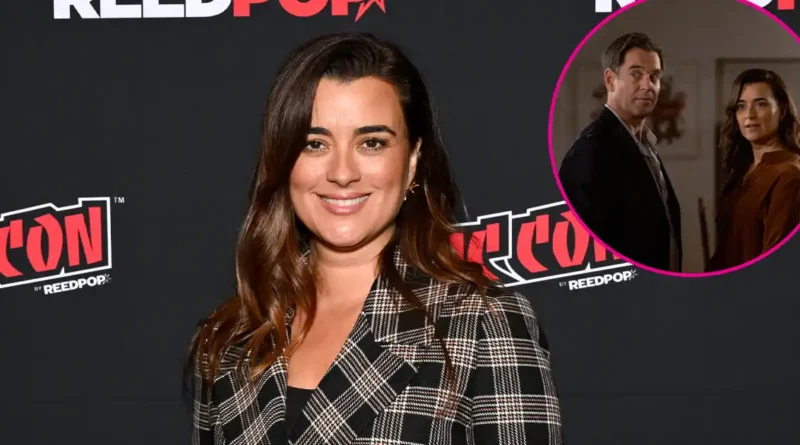 What Cote de Pablo Hopes to See in Season 2 of NCIS: Tony and Ziva