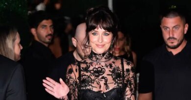 Dakota Johnson Unfazed by Criticism of Her Revealing Dresses
