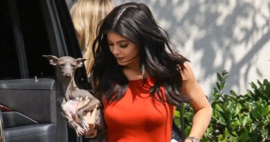 Kylie Jenner's Italian Greyhound Norman Passes Away