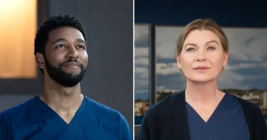 Anthony Hill from Grey's Anatomy Shares Insights on Ellen Pompeo's Medical Scene (Exclusive)
