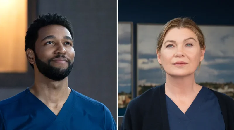 Anthony Hill from Grey's Anatomy Shares Insights on Ellen Pompeo's Medical Scene (Exclusive)