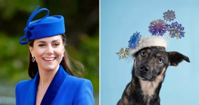 Kate Middleton's Milliner Releases 2026 Calendar Featuring Dogs in Hats